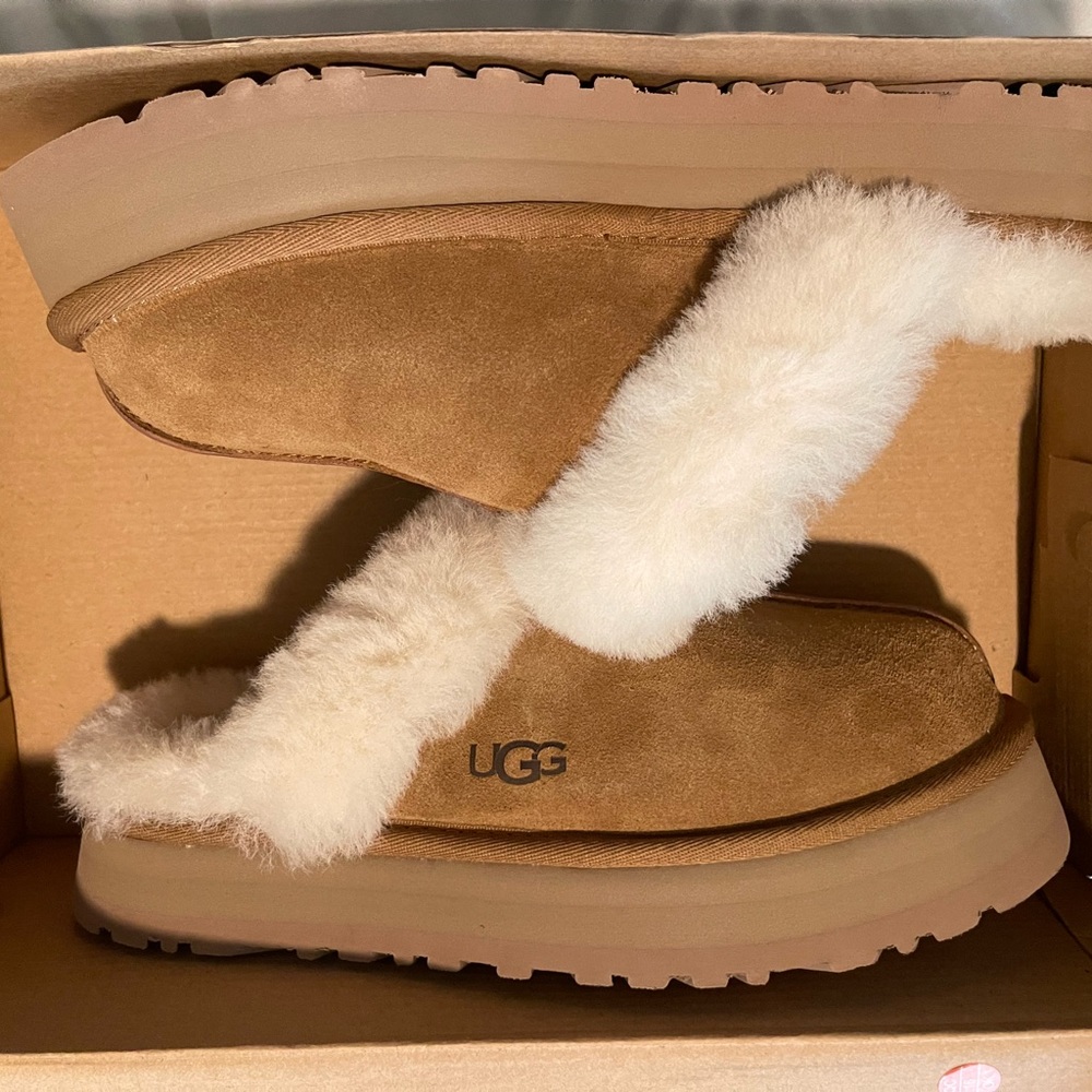 Ugg Chestnut Disquette